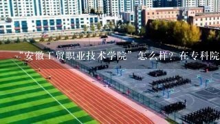 “安徽工贸职业技术学院”怎么样？在专科院校里排名如何？