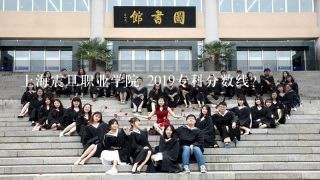 上海震旦职业学院 2019专科分数线？