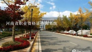 河南省职业资格证查询系统