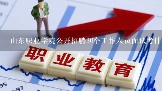 山东职业学院公开招聘30个工作人员面试考什么？