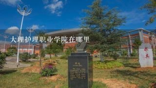 大理护理职业学院在哪里