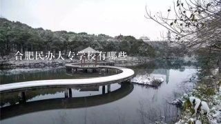 合肥民办大专学校有哪些