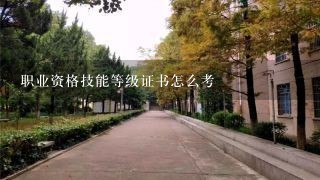 职业资格技能等级证书怎么考