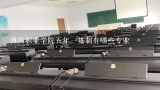 潍坊职业学院五年一贯制有哪些专业