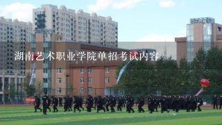 湖南艺术职业学院单招考试内容