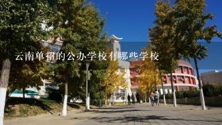 云南单招的公办学校有哪些学校