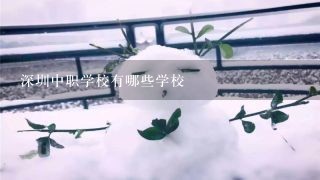 深圳中职学校有哪些学校