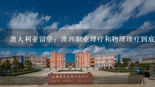 澳大利亚留学：澳洲职业理疗和物理理疗到底有什么不同？