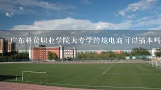 广东科贸职业学院大专学跨境电商可以插本吗