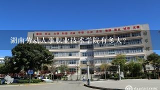 湖南劳动人事职业技术学院有多大？