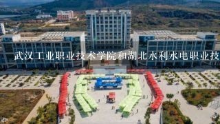 武汉工业职业技术学院和湖北水利水电职业技术学院好？