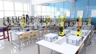 民办合肥滨湖职业技术学院是公办还是民办