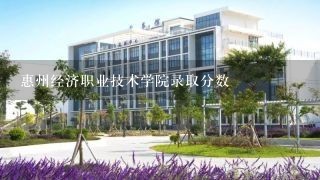 惠州经济职业技术学院录取分数