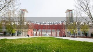 三亚城市职业学院录取分数线多少？广西文科生