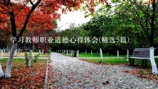 学习教师职业道德心得体会(精选5篇)