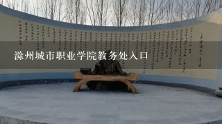 滁州城市职业学院教务处入口