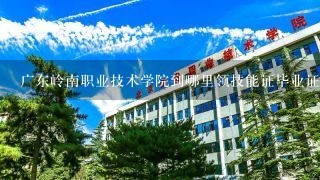 广东岭南职业技术学院到哪里领技能证毕业证