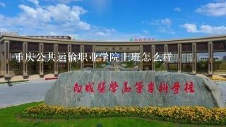 重庆公共运输职业学院上班怎么样