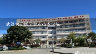 武汉大学医学职业技术学院