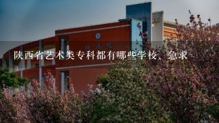 陕西省艺术类专科都有哪些学校、急求