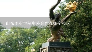 山东职业学院中外合作在哪个校区