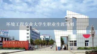 环境工程专业大学生职业生涯规划