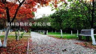 锡林格勒职业学院在哪