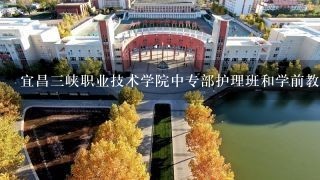 宜昌三峡职业技术学院中专部护理班和学前教育班2021的录取分数线是多少？