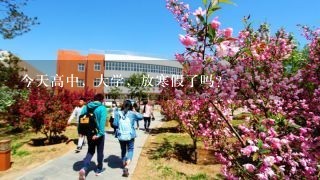 今天高中，大学，放寒假了吗？