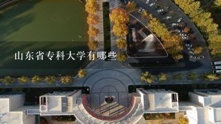 山东省专科大学有哪些