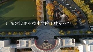 广东建设职业技术学院王牌专业？