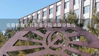 安徽粮食工程职业学院录取分数线