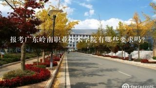 报考广东岭南职业技术学院有哪些要求吗？