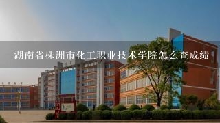 湖南省株洲市化工职业技术学院怎么查成绩
