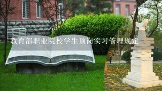 教育部职业院校学生顶岗实习管理规定