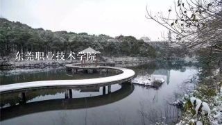 东莞职业技术学院