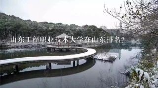 山东工程职业技术大学在山东排名？