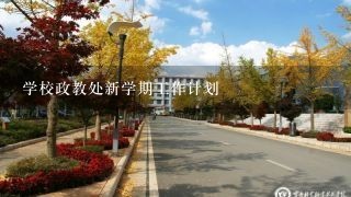 学校政教处新学期工作计划