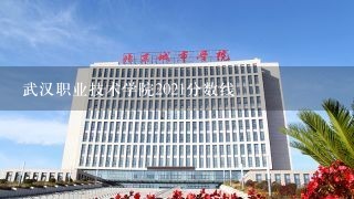 武汉职业技术学院2021分数线