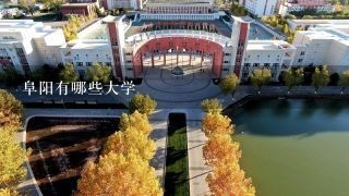 阜阳有哪些大学