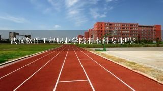 武汉软件工程职业学院有本科专业吗？