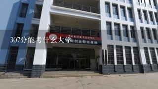 307分能考什么大学