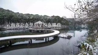 云南省公办单招学校有哪些