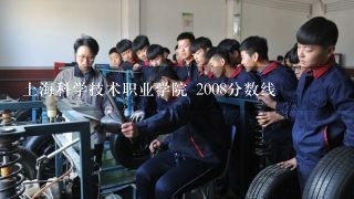 上海科学技术职业学院 2008分数线