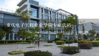 重庆电子工程职业学院专业代码