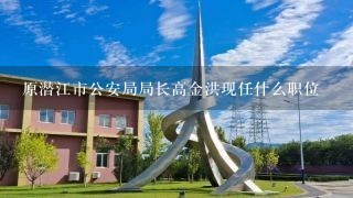 原潜江市公安局局长高金洪现任什么职位