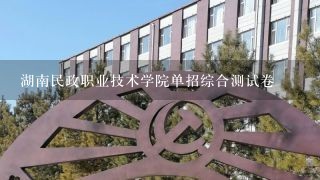 湖南民政职业技术学院单招综合测试卷