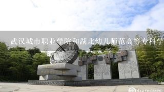 武汉城市职业学院和湖北幼儿师范高等专科学校哪一个好呢？