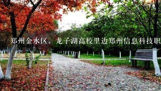 郑州金水区，龙子湖高校里边郑州信息科技职业学院去年暑假啥时间放假？
