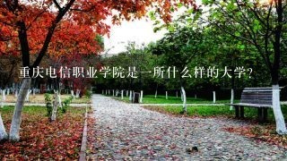 重庆电信职业学院是1所什么样的大学？